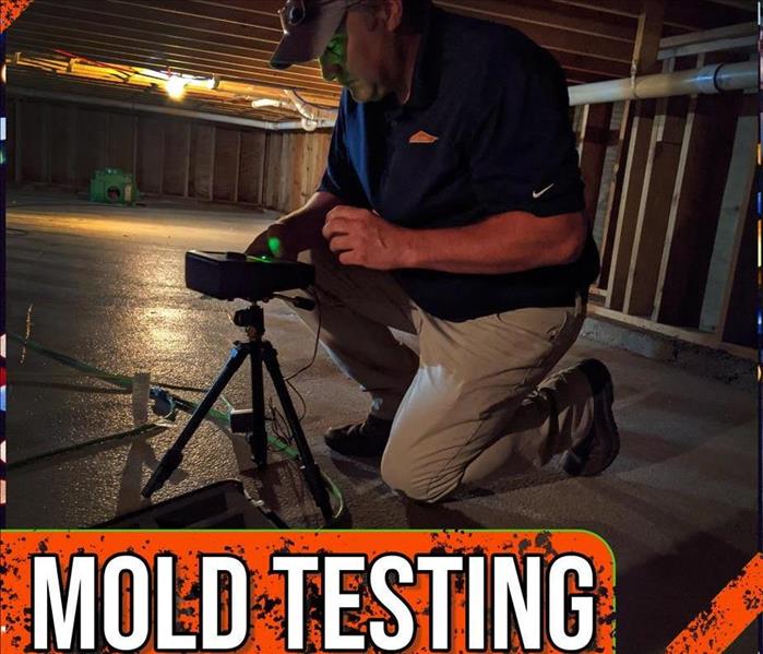 mold testing