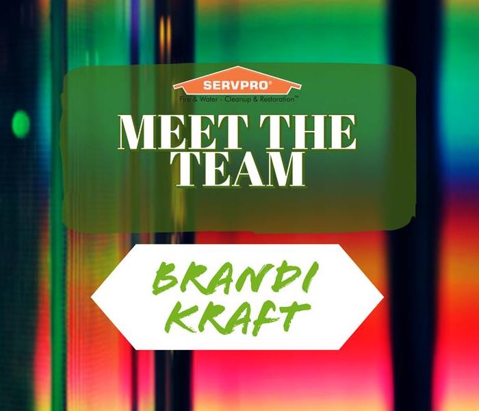 Meet the team graphic